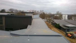 WP_20150323_002